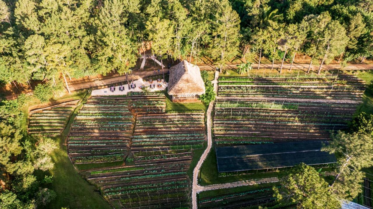 Blancaneaux Lodge By Francis Ford Coppola San Ignacio Ngoại thất bức ảnh