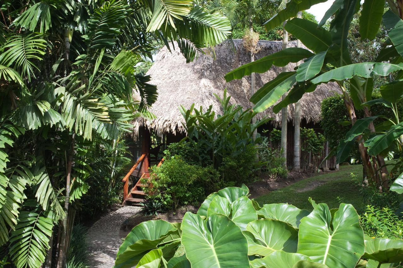 Blancaneaux Lodge By Francis Ford Coppola San Ignacio Ngoại thất bức ảnh